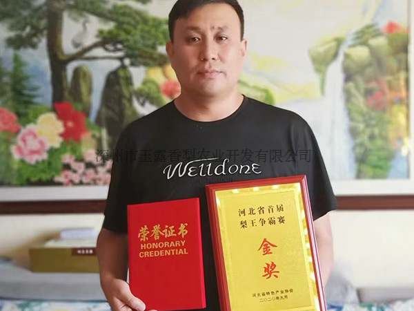公司荣誉 